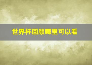 世界杯回顾哪里可以看