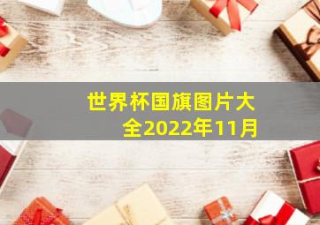 世界杯国旗图片大全2022年11月