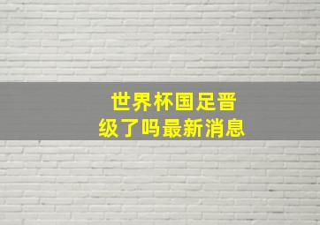 世界杯国足晋级了吗最新消息