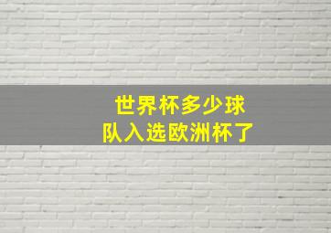 世界杯多少球队入选欧洲杯了