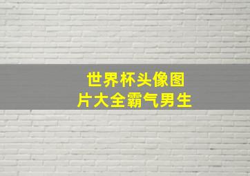 世界杯头像图片大全霸气男生