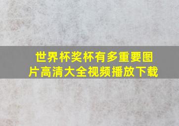 世界杯奖杯有多重要图片高清大全视频播放下载