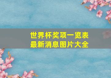 世界杯奖项一览表最新消息图片大全