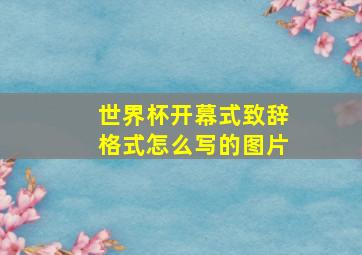 世界杯开幕式致辞格式怎么写的图片