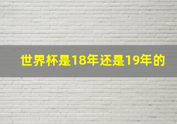 世界杯是18年还是19年的