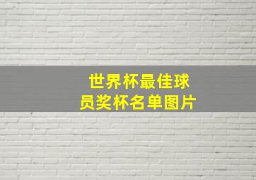 世界杯最佳球员奖杯名单图片