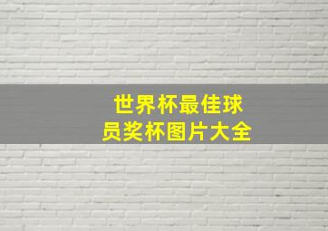 世界杯最佳球员奖杯图片大全