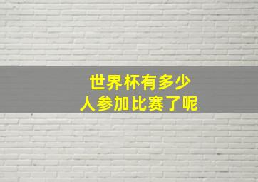 世界杯有多少人参加比赛了呢