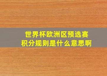 世界杯欧洲区预选赛积分规则是什么意思啊