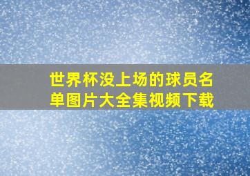 世界杯没上场的球员名单图片大全集视频下载