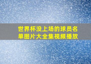 世界杯没上场的球员名单图片大全集视频播放