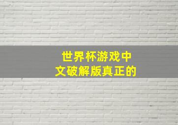 世界杯游戏中文破解版真正的