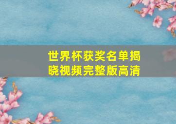 世界杯获奖名单揭晓视频完整版高清