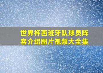 世界杯西班牙队球员阵容介绍图片视频大全集