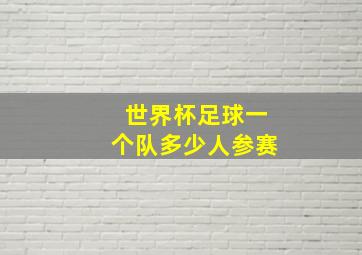 世界杯足球一个队多少人参赛