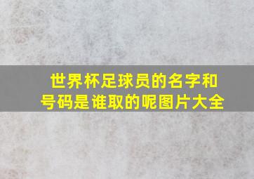 世界杯足球员的名字和号码是谁取的呢图片大全