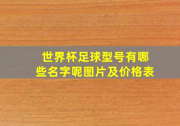 世界杯足球型号有哪些名字呢图片及价格表