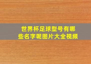 世界杯足球型号有哪些名字呢图片大全视频