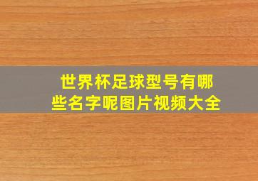 世界杯足球型号有哪些名字呢图片视频大全