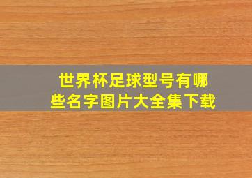 世界杯足球型号有哪些名字图片大全集下载