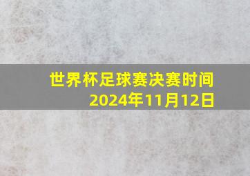 世界杯足球赛决赛时间2024年11月12日