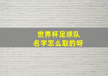 世界杯足球队名字怎么取的呀