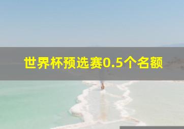 世界杯预选赛0.5个名额