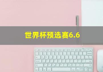 世界杯预选赛6.6