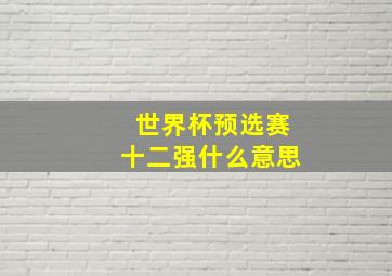 世界杯预选赛十二强什么意思