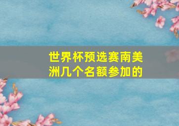 世界杯预选赛南美洲几个名额参加的