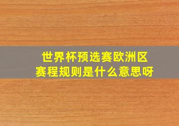 世界杯预选赛欧洲区赛程规则是什么意思呀