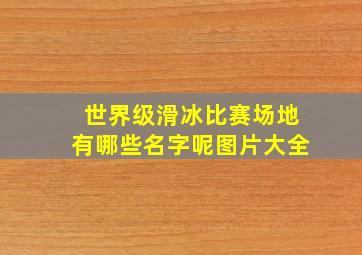 世界级滑冰比赛场地有哪些名字呢图片大全