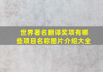 世界著名翻译奖项有哪些项目名称图片介绍大全