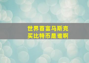 世界首富马斯克买比特币是谁啊