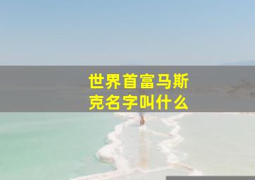 世界首富马斯克名字叫什么