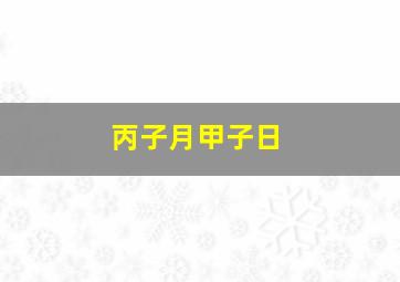 丙子月甲子日