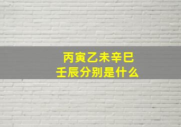 丙寅乙未辛巳壬辰分别是什么