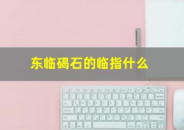 东临碣石的临指什么