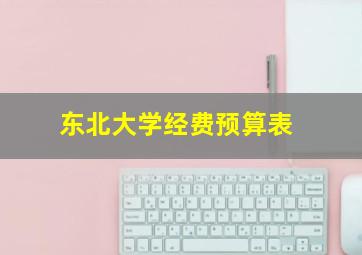 东北大学经费预算表