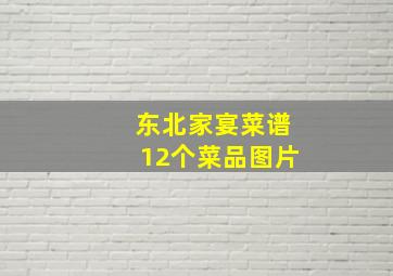 东北家宴菜谱12个菜品图片