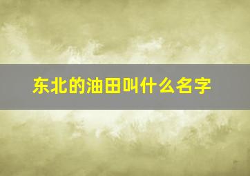 东北的油田叫什么名字