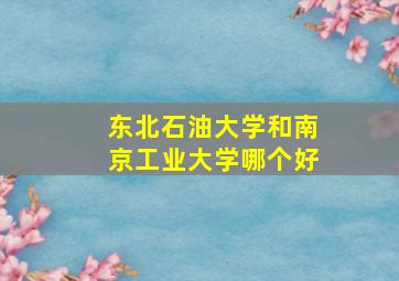 东北石油大学和南京工业大学哪个好