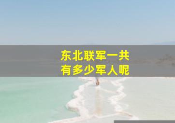 东北联军一共有多少军人呢