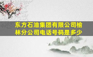 东方石油集团有限公司榆林分公司电话号码是多少