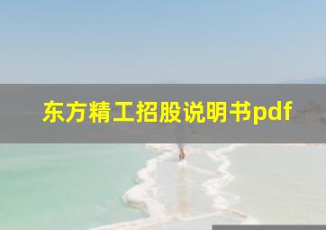 东方精工招股说明书pdf