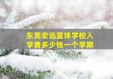 东莞宏远篮球学校入学费多少钱一个学期