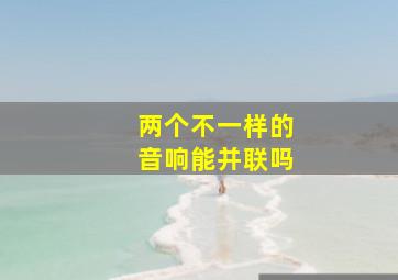 两个不一样的音响能并联吗