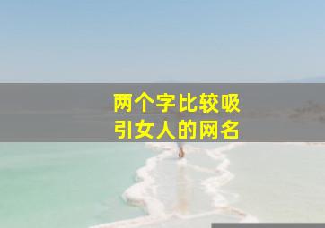 两个字比较吸引女人的网名