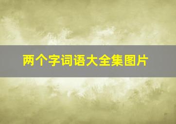 两个字词语大全集图片