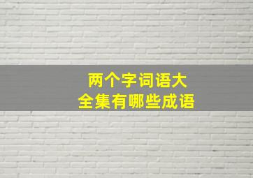 两个字词语大全集有哪些成语